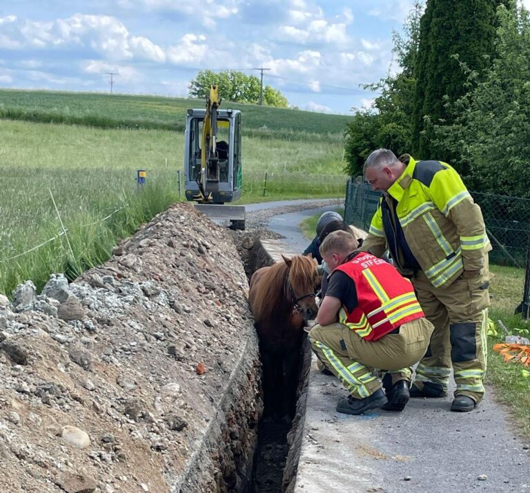 Einsatzkräfte der Feuerwehr kümmern sich um ein Pferd in einem Graben.  Foto: ---/Feuerwehr Dresden/dpa
