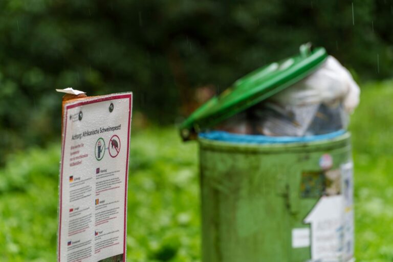 Reisende sollten ihren Müll unterwegs richtig entsorgen, um eine weitere Verbreitung von Tierseuchen zu verhindern. (Archivfoto) Foto: Andreas Arnold/dpa
