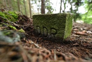 Die frühere deutsch-deutsche Grenze gilt inzwischen als ein Rückzugsort für Tiere und Pflanzen. (Archivbild)