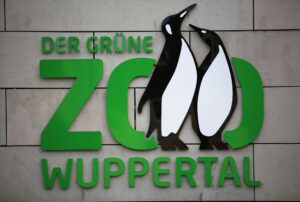 Zoo-Besuche sind bei vielen Menschen beliebt - Tierschützer machen jedoch artenschutzrechtliche Bedenken geltend. (Symbolbild)
