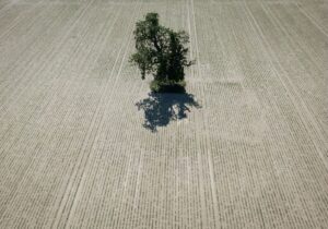 Niederschläge sind in Rheinland-Pfalz auch in den nächsten Tagen nicht in Sicht. (Symbolbild)