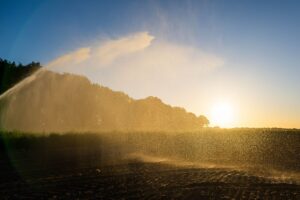 Die Dürre in Niedersachsen hält an, es ist kein langanhaltender Regen in Sicht. (Symbolfoto)