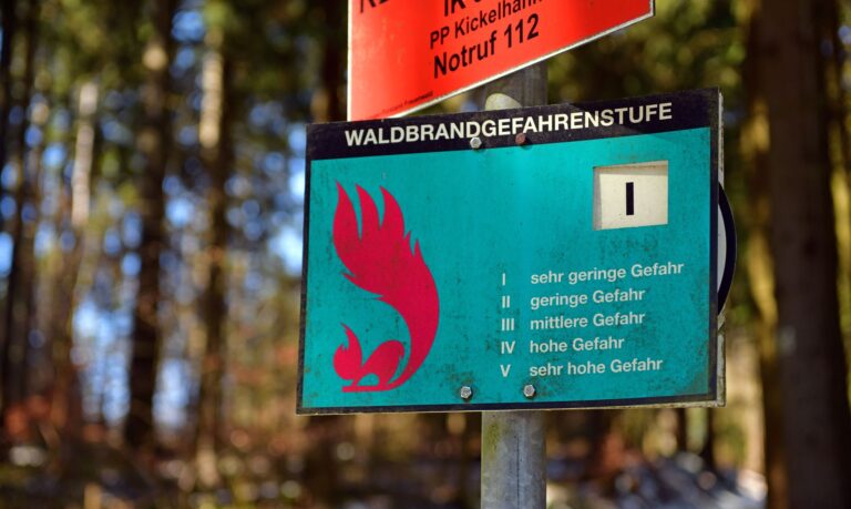 Die durch Brände geschädigte Waldfläche erreichte in Thüringen vergangenes Jahr ein 30-Jahres-Hoch. Flächendeckende Frühwarnsysteme hält der Landesforstbetrieb dennoch für unnötig. (Archivfoto) Foto: Martin Schutt/dpa-Zentralbild/dpa
