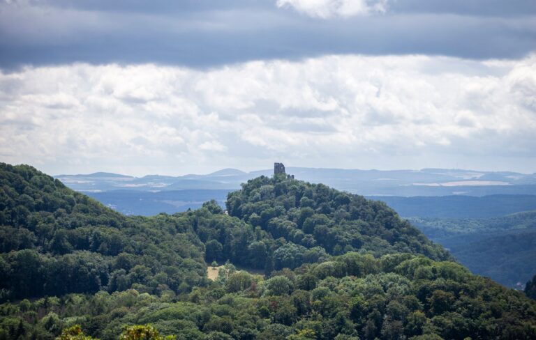 Am kommenden Wochenende bieten die zwölf Naturparke und der einzige Nationalpark in Nordrhein-Westfalen besondere Naturerlebnisse für Besucher.  (Archivbild) Foto: Thomas Banneyer/dpa