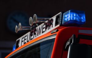 Die Feuerwehr konnte alle neun Entenküken befreien. (Symbolbild)