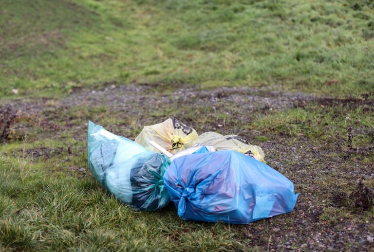 Der Kampf gegen illegal entsorgten Müll im öffentlichen Raum beschäftigt Land und Kommunen. (Symbolbild) Foto: Jan Woitas/dpa-Zentralbild/dpa