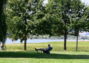 Ein Mann hat sich ein schattiges Plätzchen am Ufer des Rheins in Leverkusen gesucht. (Archivbild)