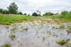 In Vechta ist der Bereich um ein Regenrückhaltebecken gesperrt, es wird dort versucht, einen Alligator mit einer Lebendfalle einzufangen.
