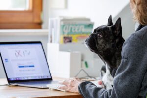Gut fürs Betriebsklima: Wenn man seinen Hund mit zur Arbeit nehmen kann, profitieren viele Seiten.