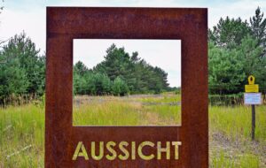 In der Lieberose Heide schützt die Stiftung Naturlandschaften Brandenburg die Natur auf einem ehemaligen Truppenübungsplatz. Die Stiftung, die noch drei andere Flächen besitzt, feiert 25-jähriges Jubiläum.