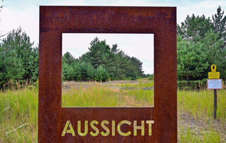 In der Lieberose Heide schützt die Stiftung Naturlandschaften Brandenburg die Natur auf einem ehemaligen Truppenübungsplatz. Die Stiftung, die noch drei andere Flächen besitzt, feiert 25-jähriges Jubiläum. Foto: Patrick Pleul/dpa