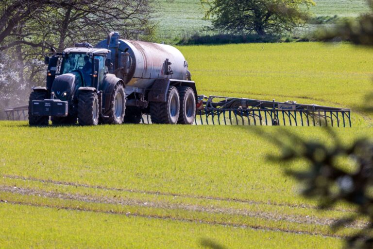Ursache für erhöhte Nitratwerte im Grundwasser ist oft Gülle. (Archivbild) Foto: Jens Büttner/dpa