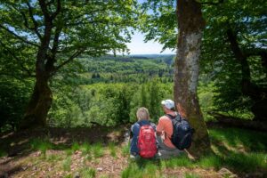 Der Nationalpark Hunsrück-Hochwald ist jetzt zehn Jahre alt (Archivbild)