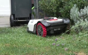 Mähroboter sind eine Gefahr für Igel und andere Tiere. Immer mehr Städte verhängen jetzt ein Nachtfahrverbot für die Geräte. (Symbolbild)