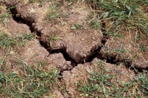 In vielen Brandenburger Landkreisen wird mehr Wasser entnommen als neu gebildet wird. (Symbolbild)