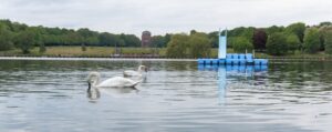 Auch das Freibad Stadtparksee hat laut Untersuchung eine ausgezeichnete Qualität. (Archivbild)