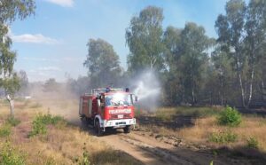 In den meisten Regionen in Brandenburg gilt die zweithöchste Warnstufe für Waldbrände.
