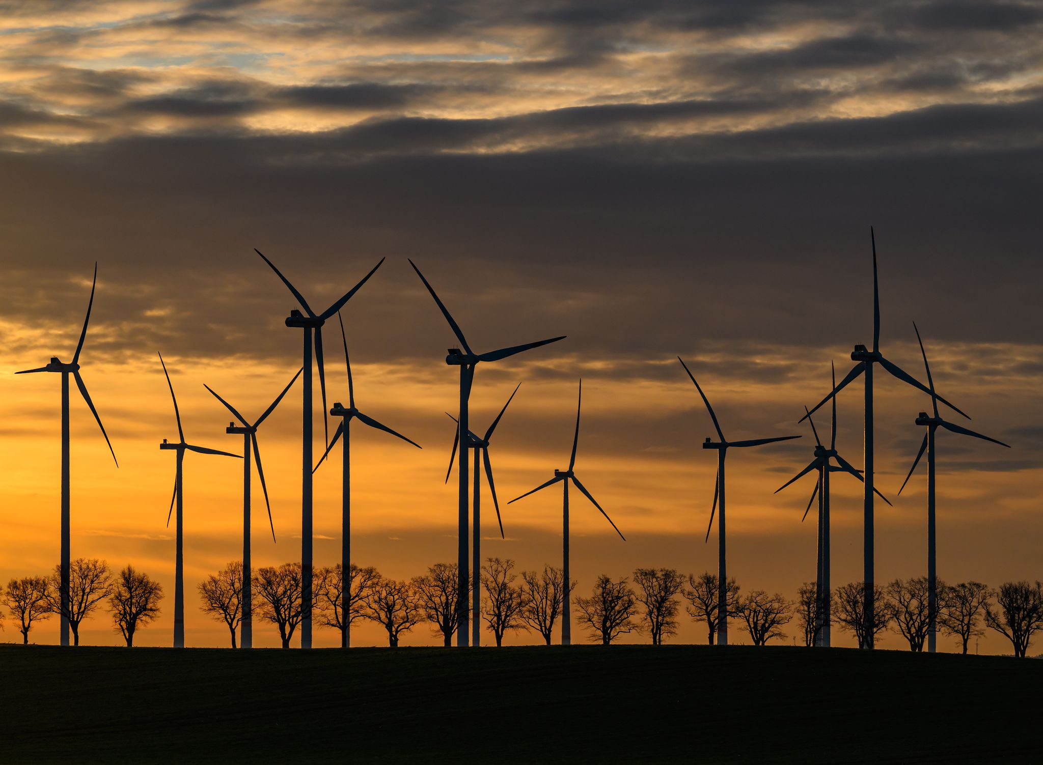 Erneuerbare Energie: Wie Sie echte Ökostromtarife finden