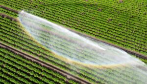 Wasser kann Luxus sein - wenn es knapp ist und für die Landwirtschaft gebraucht wird. (Illustration)