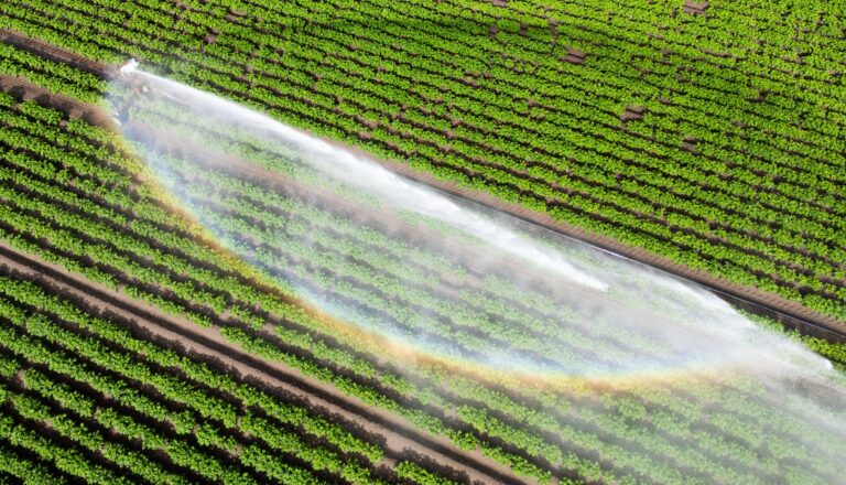 Wasser kann Luxus sein - wenn es knapp ist und für die Landwirtschaft gebraucht wird. (Illustration) Foto: Julian Stratenschulte/dpa