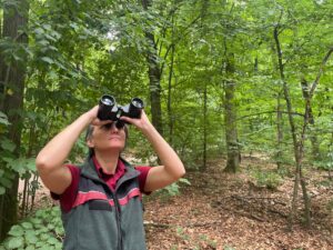 Sind Äste in der Krone abgestorben? Lässt sich der Himmel sehen? Kinga Janosi von Landesforsten Rheinland-Pfalz schaut sich Buchen im Lennebergwald an.