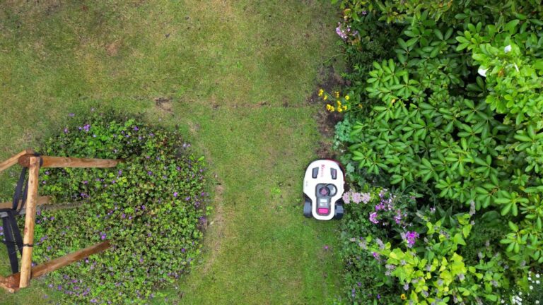 Schutz für Haustiere ist wichtig: Während des Mähens sollten Katzen und kleine Hunde im Haus bleiben. Foto: Sascha Thelen/dpa