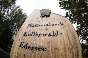 Zwei weitere Arten seltener Urwaldkäfer sind im Nationalpark entdeckt worden. (Archivbild)
