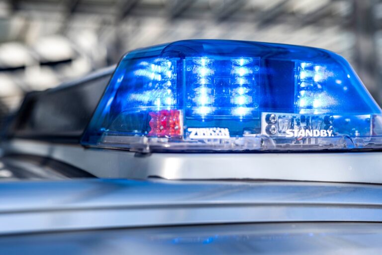 Der entlaufene Hund stieß mit einem Wagen auf der Autobahn zusammen. (Symbolbild) Foto: David Inderlied/dpa