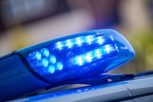 Ungewöhnlicher Einsatz: Würgeschlange in Bach gefunden. (Symbolbild)