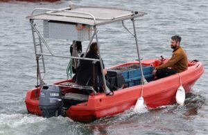 Ein «Seehund-Taxi» brauchte die Tiere an Land.