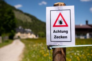 Nahezu der gesamte Freistaat gilt als FSME-Risikogebiet.