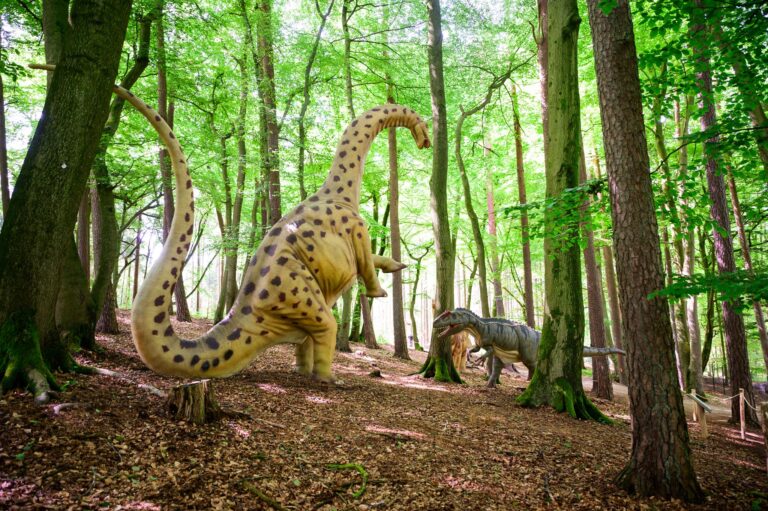 Im Wildpark Schwarze Berge können Besucher die Spuren der Dinosaurier verfolgen.  Foto: Philipp Schulze/dpa