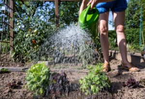 Der Wassermangel zwingt Teile Sachsen-Anhalts zu drastischen Maßnahmen. (Archivbild)