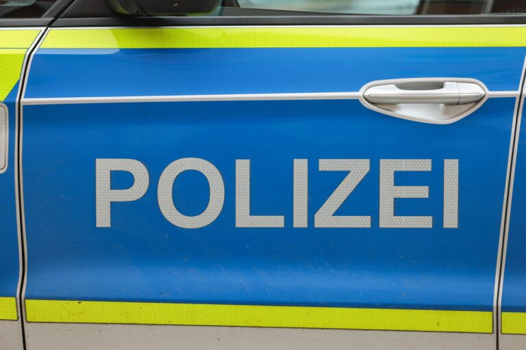 Die Polizei sucht am Geiseltalsee in Sachsen-Anhalt nach einer Großkatze. (Symbolbild) Foto: Jan Woitas/dpa