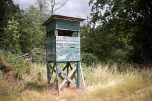 Tierwohl, Waldumbau in Zeiten des Klimawandels und die Rolle der Jäger - all das sind zentrale Punkte im Jagdgesetz. (Archivfoto)