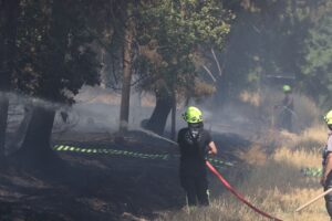 In Thüringen wurden im vergangenen Jahr 34 Waldbrände auf 35 Hektar erfasst. (Archivbild)