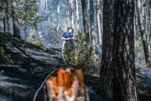 Rund 30.000 Quadratmeter Wald bei Wendelstein südlich von Nürnberg sind am Dienstag in Brand geraten.