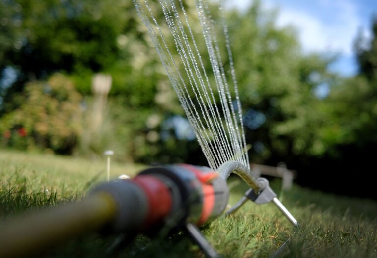 Sparsam mit Wasser umgehen ist die Devise angesichts der aktuellen Trockenheit. (Archivbild) Foto: Martin Gerten/dpa