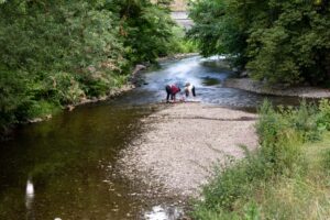 Zahlreiche Flüsse in Thüringen führen aktuell nur Niedrigwasser. (Archivbild)