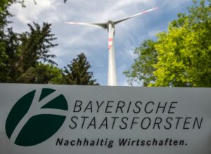 Die bayerischen Staatsforsten sind ein einträgliches Geschäft für den Freistaat (Archivbild).