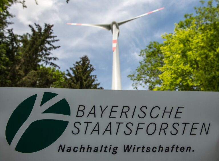 Die bayerischen Staatsforsten sind ein einträgliches Geschäft für den Freistaat (Archivbild).  Foto: Armin Weigel/dpa