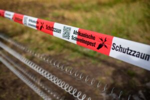 Während sich die Lage in Sachsen verbessert, gibt es jetzt auch Fälle in Nordrhein-Westfalen. (Symbolbild)