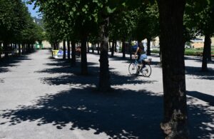 Wenn es heiß wird in den Großstädten, rächen sich Beton und fehlendes Grün. Vor allem in Mannheim staut sich die Hitze. (Archivbild)
