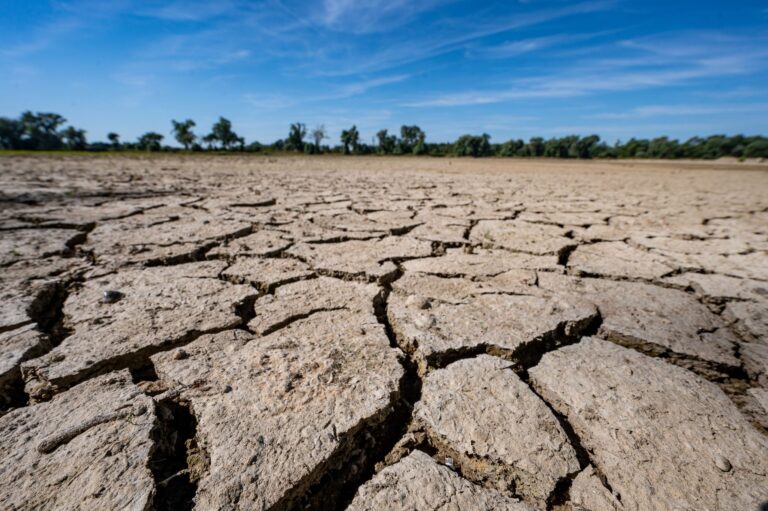 Eine neue Studie besagt, dass auf der Grundlage des derzeitigen CO2-Ausstoßes nur noch drei Jahre bis zur Überschreitung des 1,5 Grad-Ziels bleiben (Archivbild). Foto: Armin Weigel/dpa