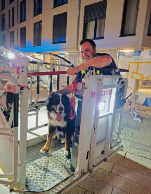 Ein Feuerwehrmann holt einen Hund mittels der Drehleiter aus 20 Metern Höhe vom Dach eines Einkaufszentrums.