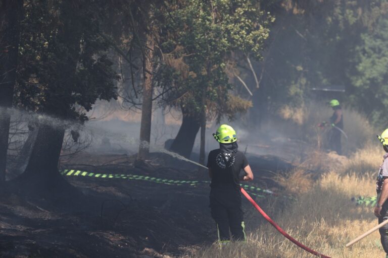 So wie hier vor einigen Jahren im Kreis Greiz könnte es auch in diesem Sommer wieder zu Waldbränden in Thüringen kommen: In dieser Woche droht das Erreichen der höchsten Waldbrandgefahrenstufe 5. (Archivfoto) Foto: Bodo Schackow/dpa