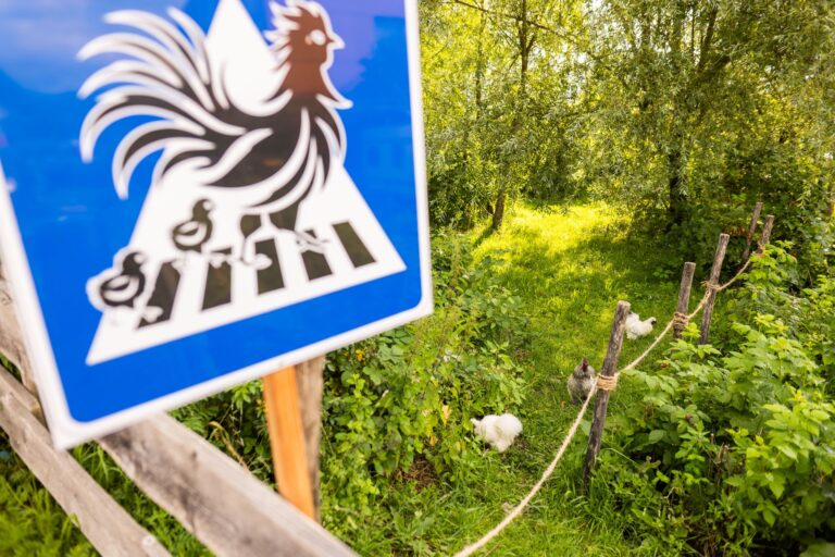 Die Gemeinde Kirchzarten hat keine Einwände gegen selbstgemachte Verkehrsschilder.  Foto: Philipp von Ditfurth/dpa