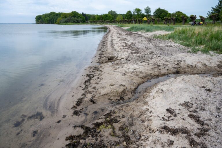 In Mecklenburg-Vorpommern gibt es keine Badestelle, die einer Untersuchung zufolge bei der Wasserqualität schlecht abschnitt. (Archivbild) Foto: Stefan Sauer/dpa