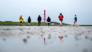 Zum Welterbegeburtstag gibt es an vielen Orten an der Küste kostenlose Führungen im Nationalpark Wattenmeer, die sich speziell an Einheimische richten. (Archivbild)