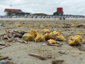 Im Mai wurden schon einmal wachsartige Klumpen am Strand von Norderney angespült. (Archivbild)